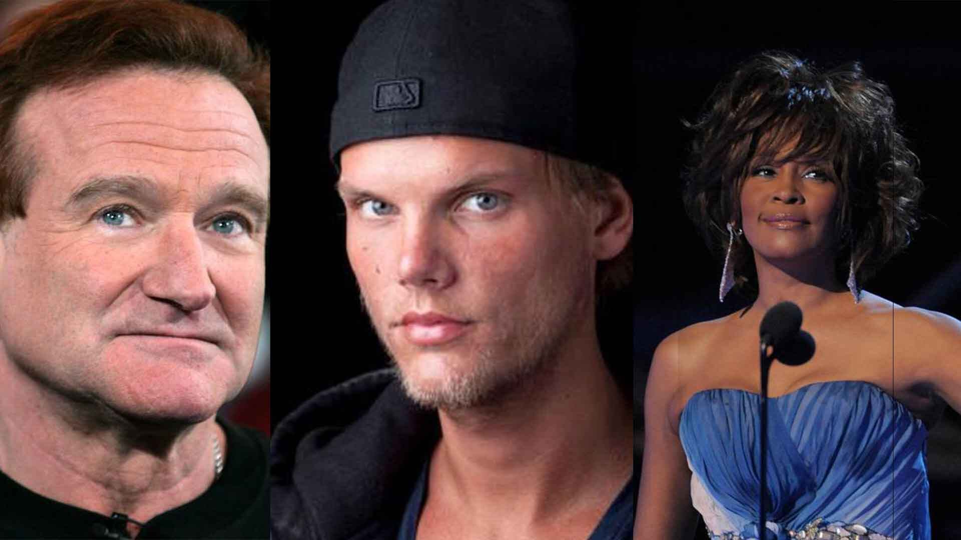 Robin Williams, Avicii