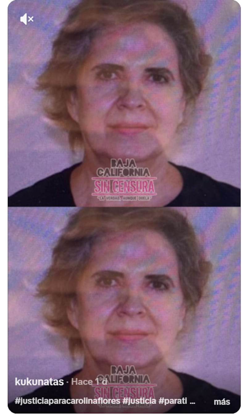 El historial político de Erika Herrera en Baja California