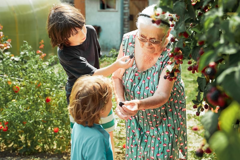 Una investigación de la Universidad Católica de Chile señaló que los niños que viven con abuelas tienen un 20% más de probabilidades de ser obesos.