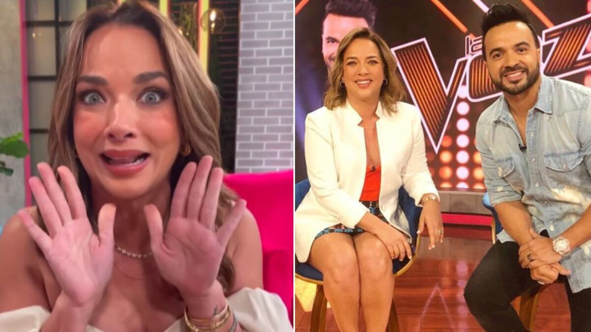 Acusan a Adamari López de no superar a Luis Fonsi tras hablar de él de nuevo en programa