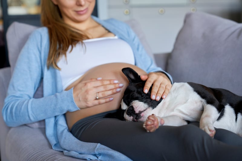 Mujer embarazada y su perrito