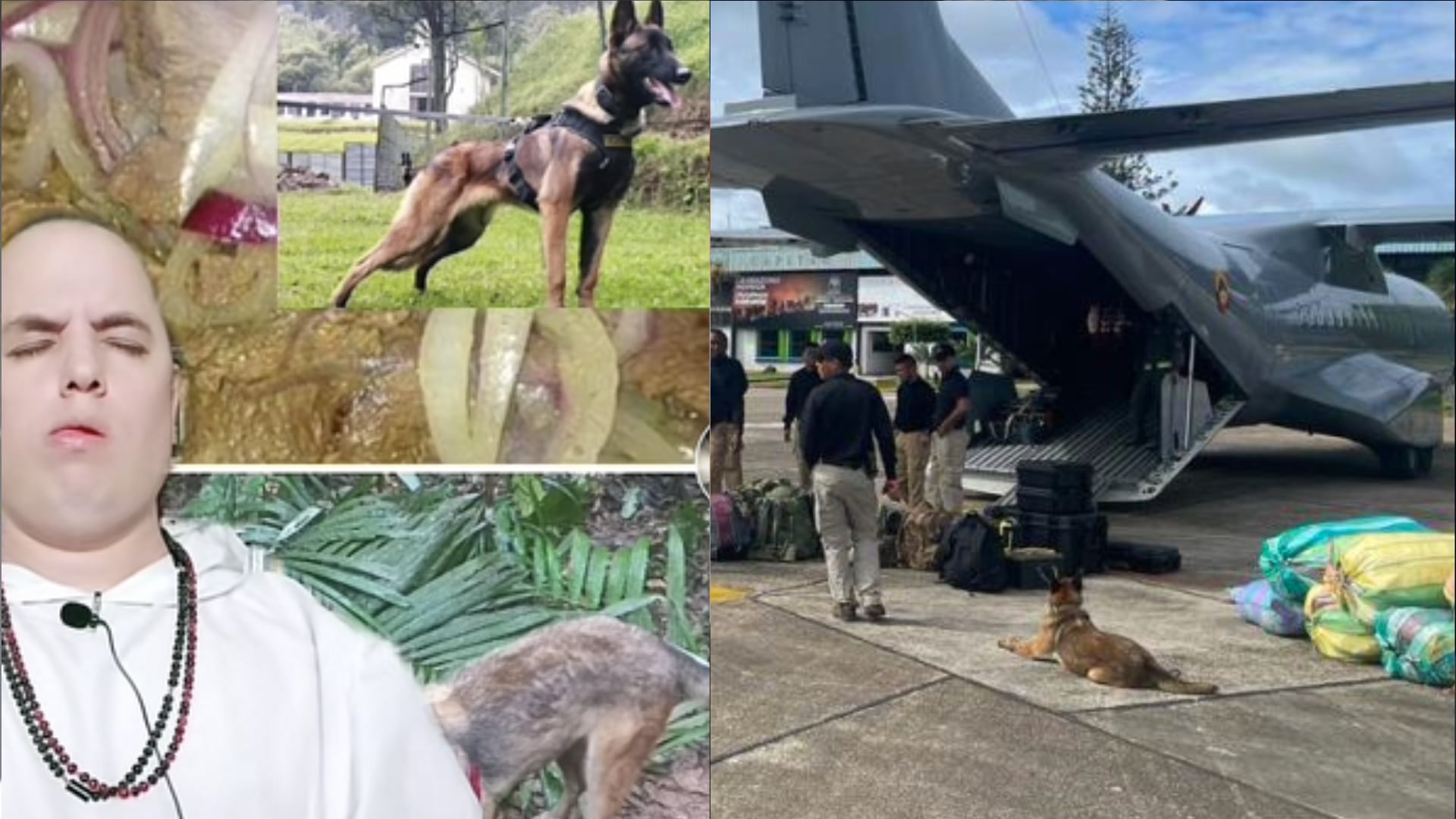 Clarividente aseguró que Wilson está vivo y feliz de estar en la selva