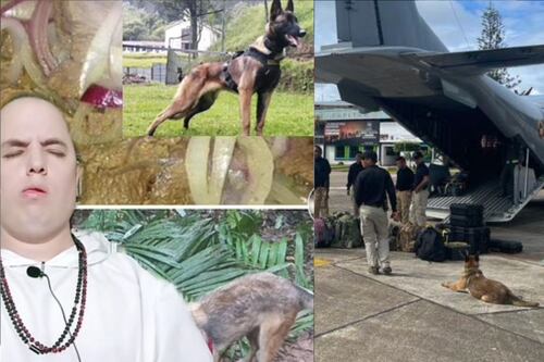 ¿Toda ayuda sirve? Clarividente reveló que es lo que impide el regreso de Wilson de las selvas del Guaviare