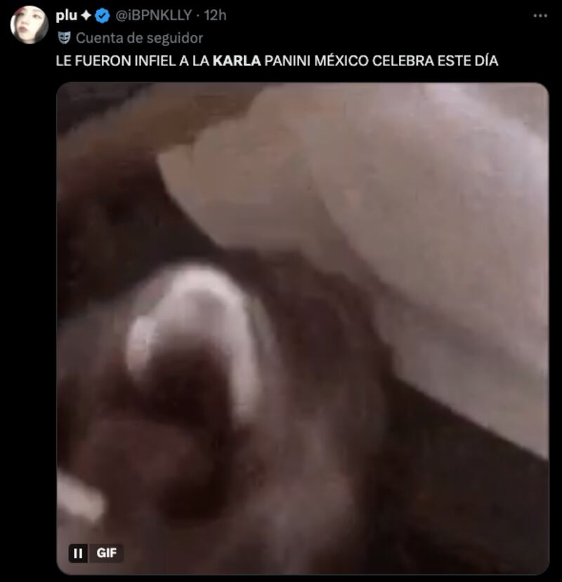 Memes sobre la infidelidad a Karla Panini