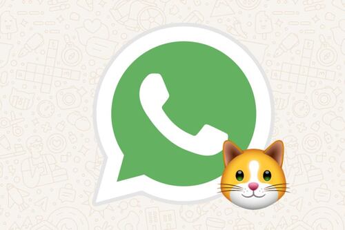 Los pasos para activar el “modo gato” en WhatsApp: ideal para todos los ‘cat-lovers’