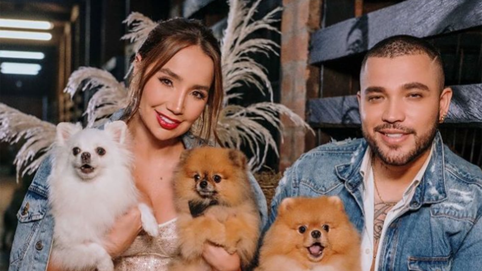 Paola Jara es criticada por teñir el cabello de sus mascotas.