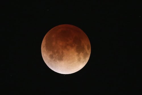 Prepárese para la “luna de sangre” del 3 de marzo: ¿a qué hora ver este increible fenómeno desde Colombia?