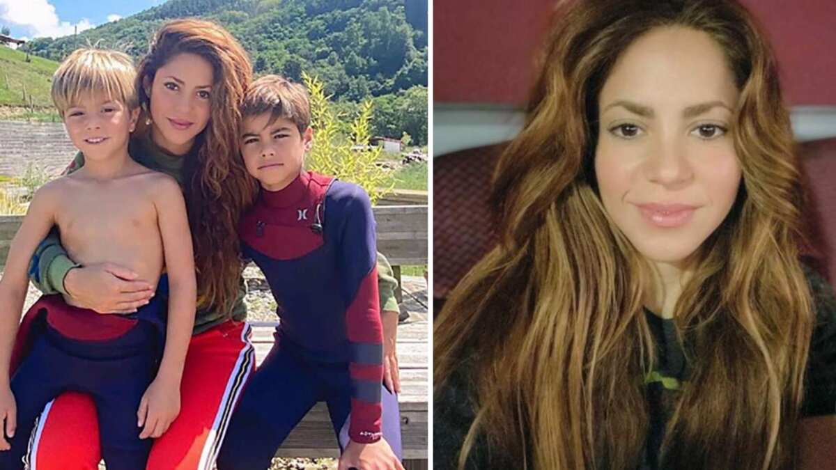 hijos de shakira