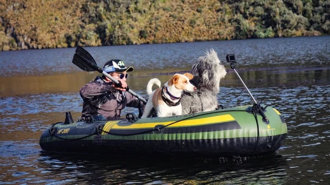Dogtravel invita a disfrutar los viajes con tu mascota.