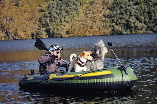 Vacaciones con tu perro: destinos petfriendly donde el ladrido es bienvenido