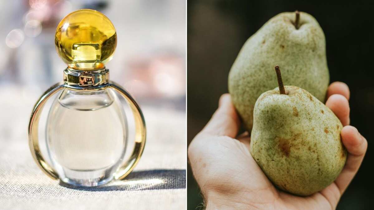 Los perfumes con olor a pera tienen una fragancia fresca y delicada