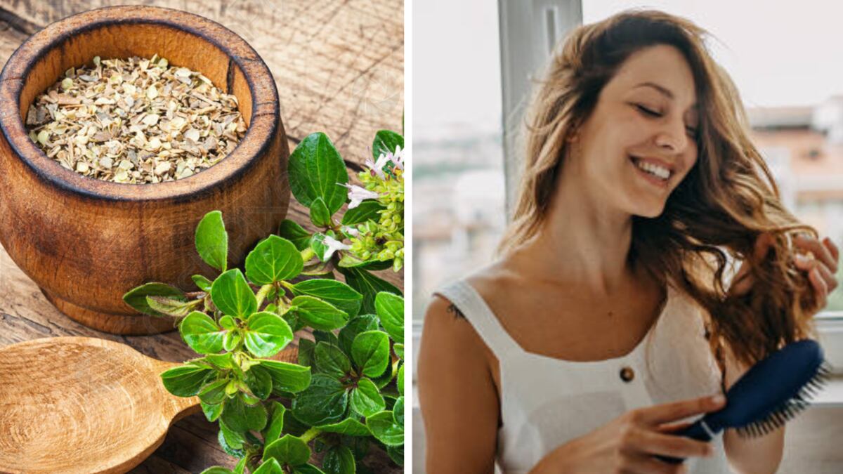 Usos y beneficios del orégano en el cabello
