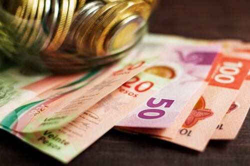 3 cosas a tener en la billetera para atraer dinero, según el Feng Shui: el laurel no es lo único