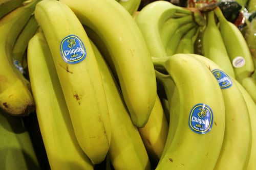 Donkey Kong en depresión: los científicos ven un futuro sin plátanos