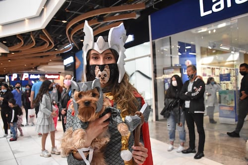 Los mejores disfraces de Halloween para mascotas este 2025