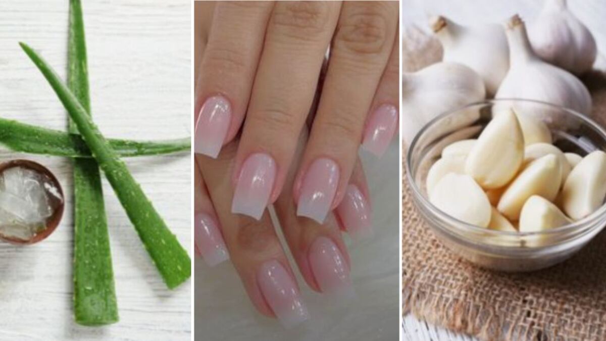 Del ajo al aloe vera los remedios caseros para endurecer tus uñas