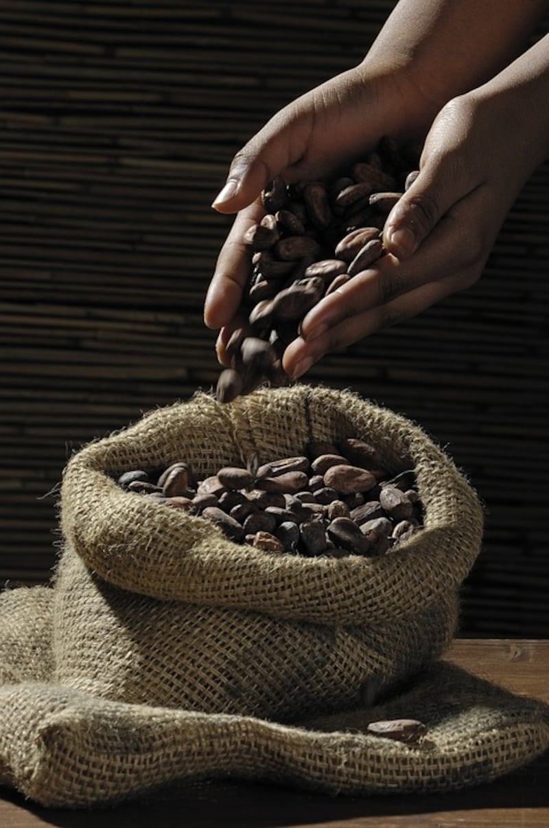 Cacao