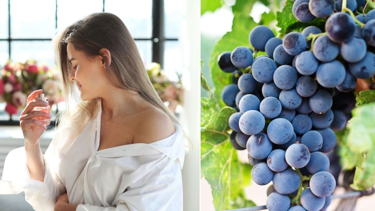 Los perfumes con olor a uva suelen ser dulces y jugosos
