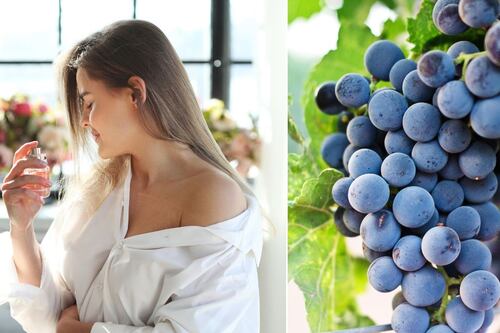 3 perfumes con olor a uva para enamorar: todos te preguntarán por el nombre de tu fragancia