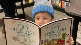 Aprendió a leer a los 2 años y ahora a sus 4 puede contar del 1 al 100 en seis idiomas