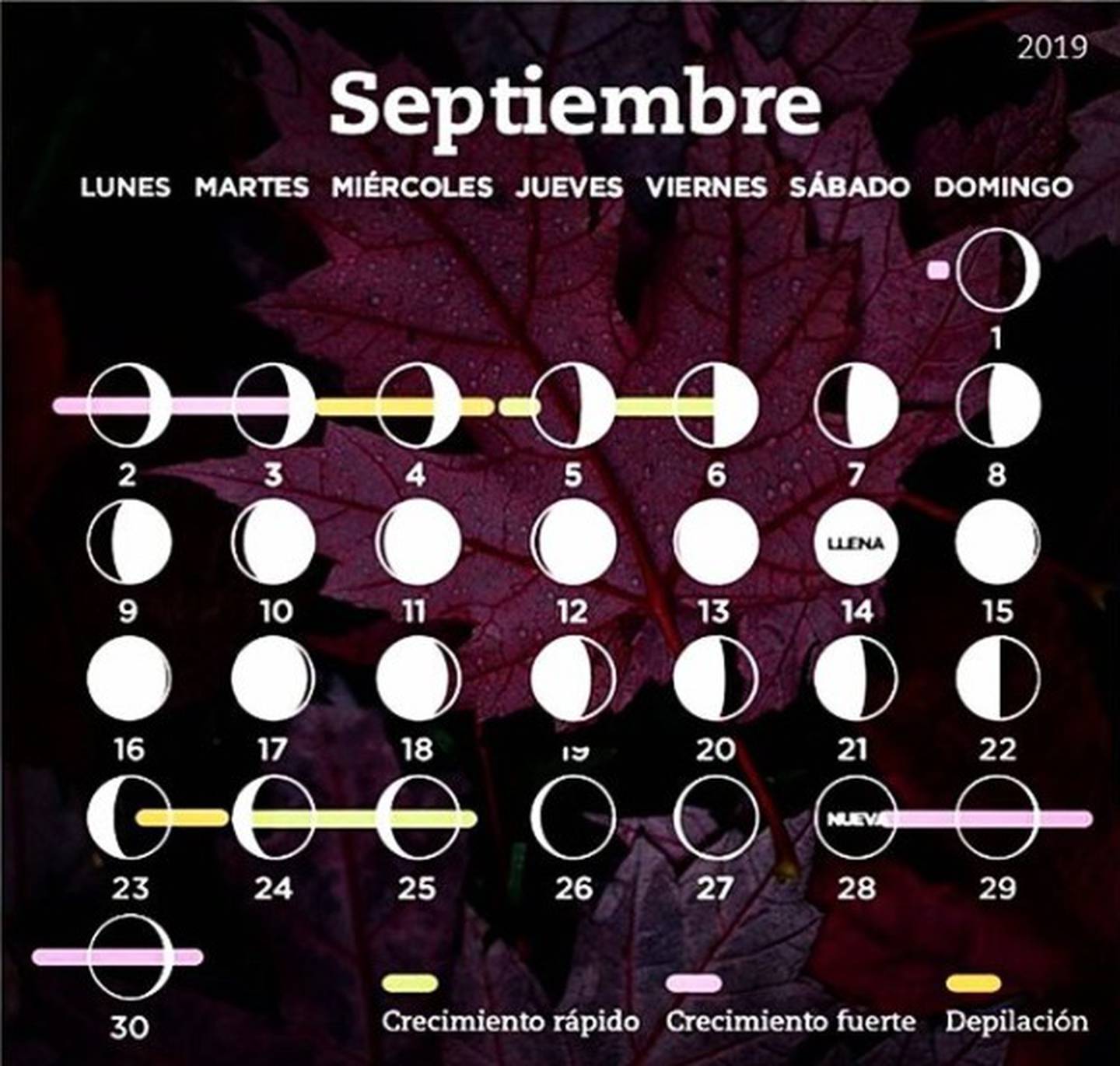 Te damos a conocer ‘las fechas lunares’ ideales para cortar tu cabello